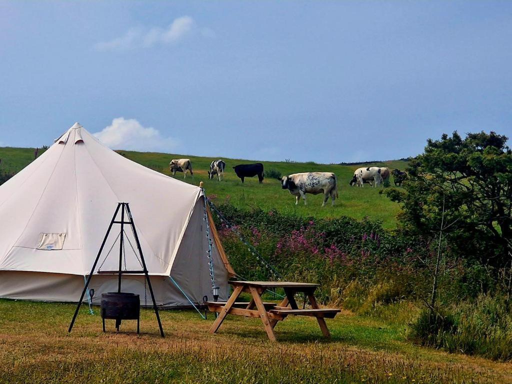 Beautiful 1-Bed Bell Tent In Holyhead Exteriér fotografie